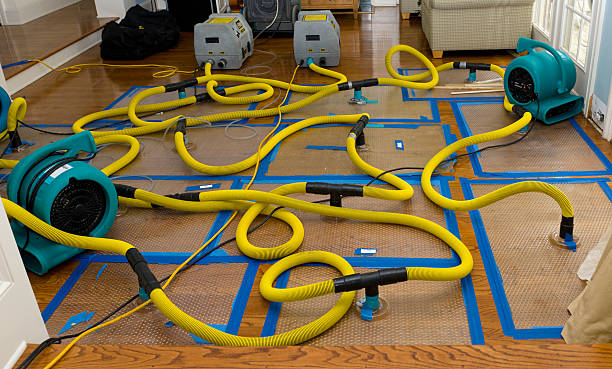 Professional Basement Flood Cleanup technician working in Clifton, CO
